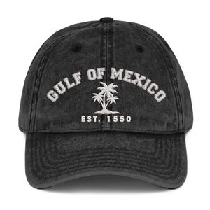 Gulf of Mexico Coconut Tree Hat, Embroidered Hats, Subtle Political Hat, Resist Cap, Not My President, Gift for Democrat,
