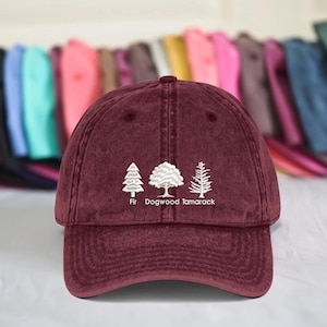 Embroidered Subtle Fdt Hat, Impeach President Dad Hat, Subtle Anti Trump Hat, Reproductive Rights Hat, Gift for Democrat