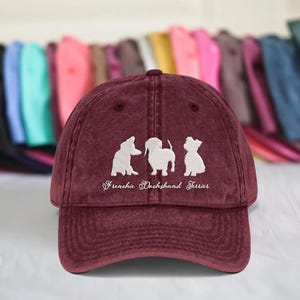 Embroidered Subtle Fdt Hat, Impeach President Dad Hat, Subtle Anti Trump Hat, Reproductive Rights Hat, Gift for Democrat, Dog Lover Hat