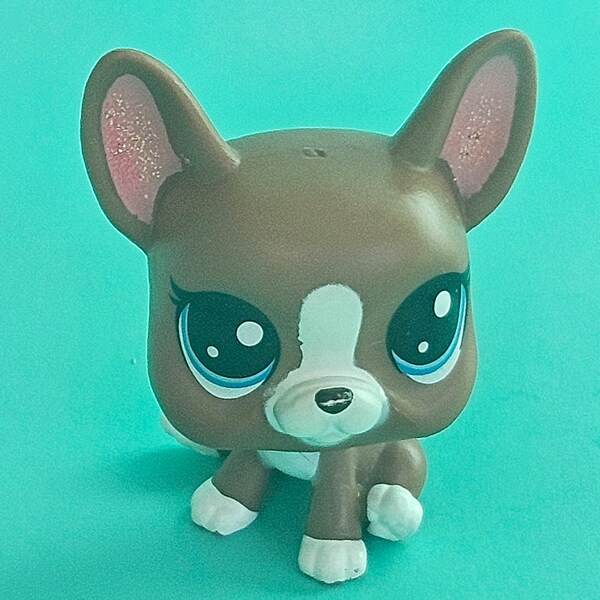 LPS | #2-92 Boston Terrier (Roxie McTerrier) | authentic Littlest Pet Shop