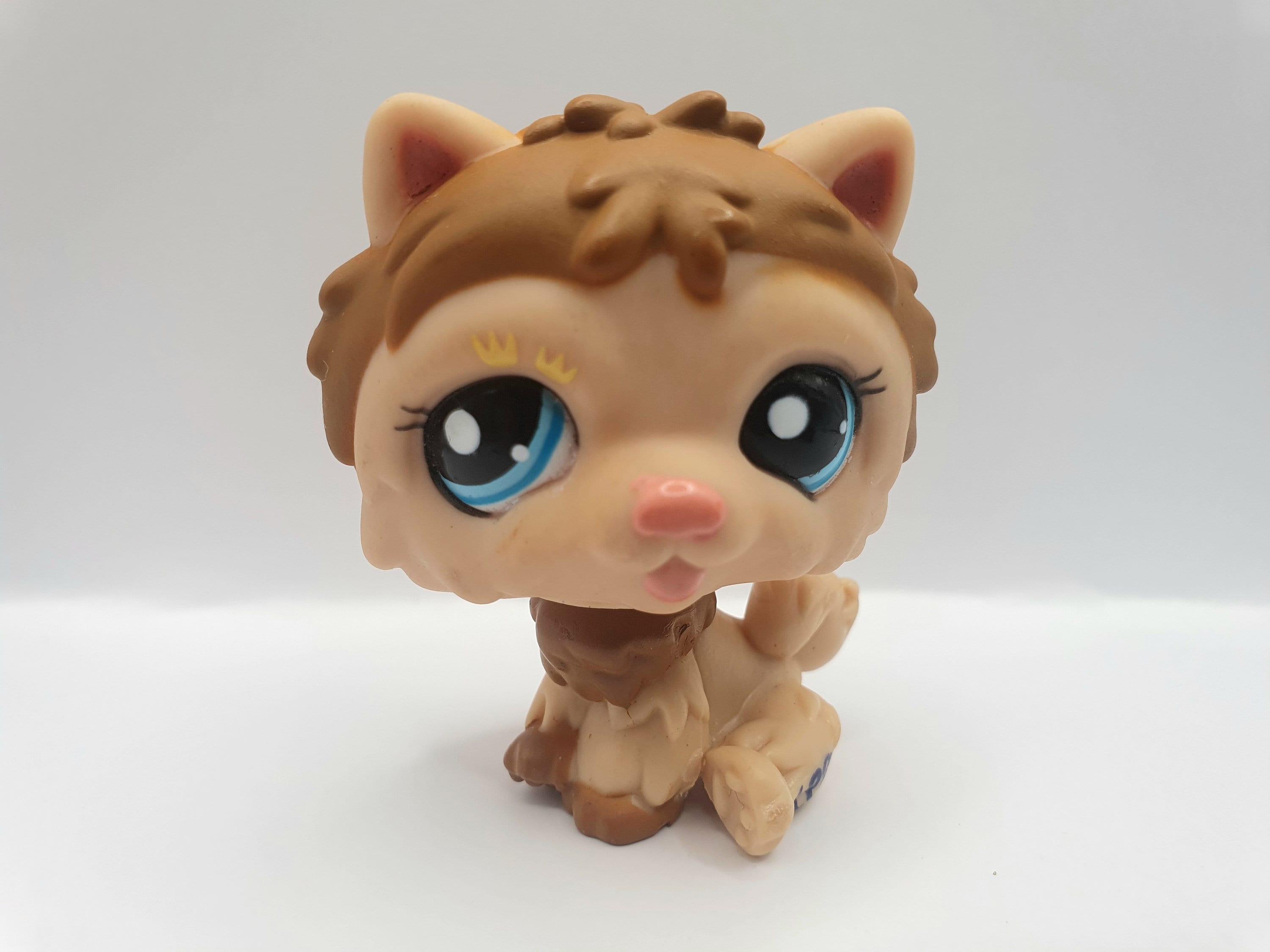 Chow top chow lps