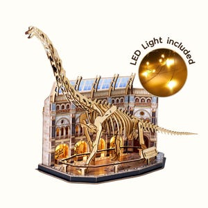 DIY Vintage Miniatura de Libro: Museo de Historia Natural (Ballena Azul/Brachiosaurus)