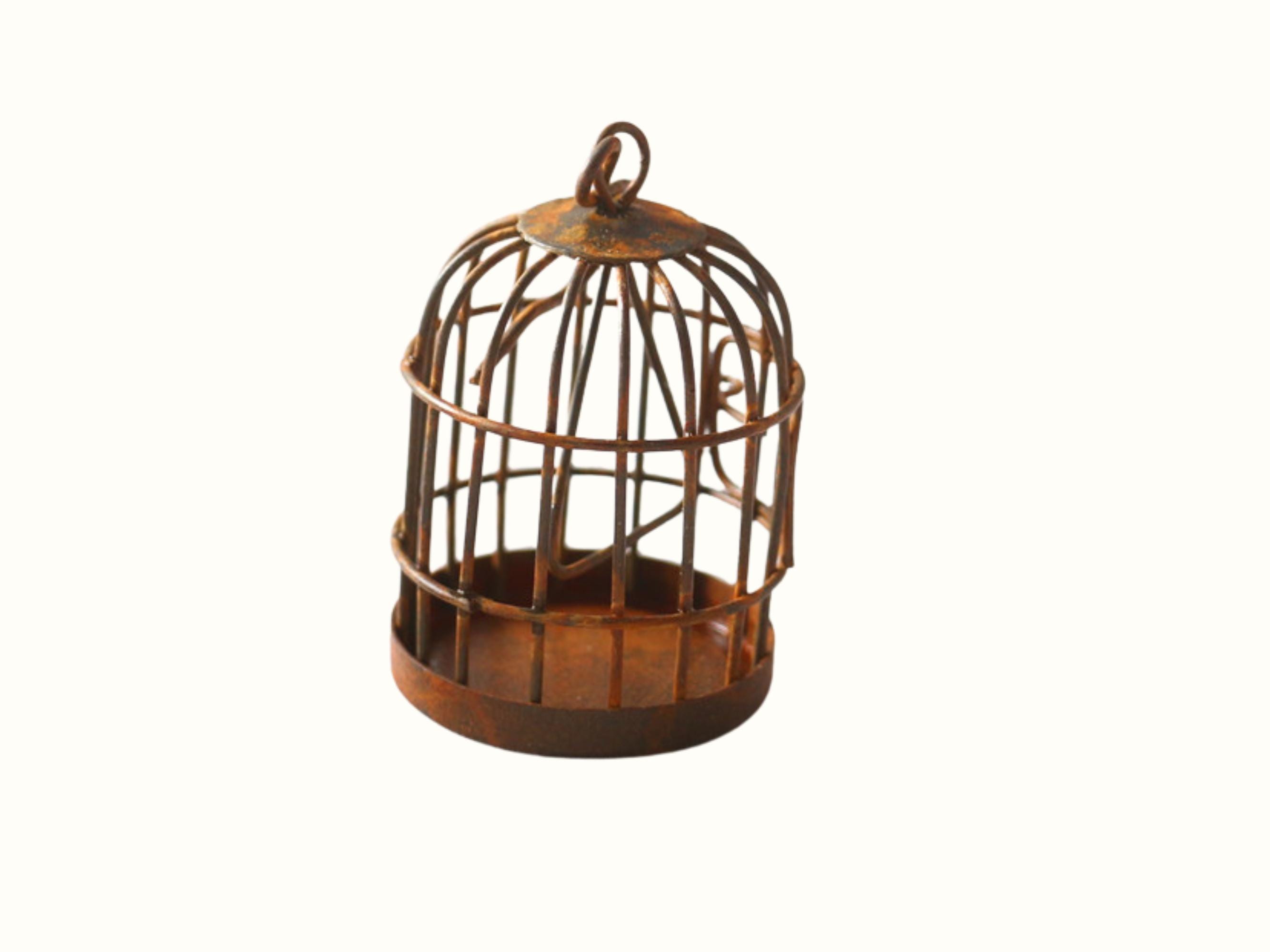 Bird Cage and Suitcase by Dennis Conaghan, image size:2667x2000
