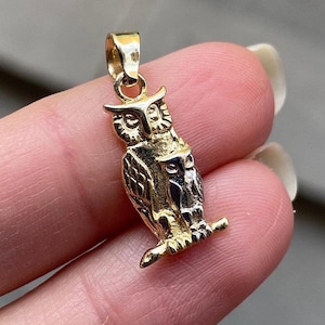 14K Solid Gold Owl Pendant: Fine Animal Necklace