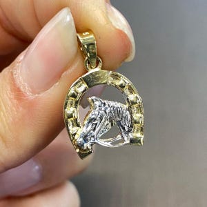 Horseshoe Necklace 14K Solid Gold / Horseshoe Pendant / Lucky Horseshoe Charm / 14k Gold 2 Color Horseshoe Pendant / Gift For Horse Lover