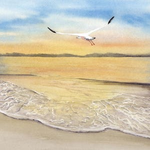 Strand Sonnenuntergang  Meer Ostsee Möwe Aquarell  DIN A5 Bild Aquarelldruck