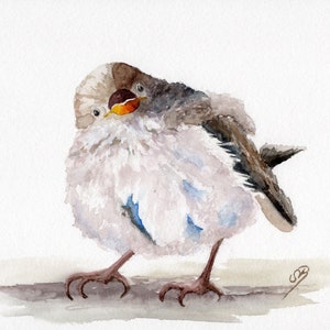 Aquarela DIN A5 imagem aquarela impressão pássaro pardal pardal aquarela aquarela animal pardal pássaro