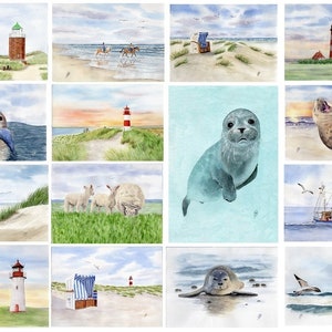 15 cartes postales aquarelles : chaise de plage de la mer du Nord, phare de Westerhever, phoques, plage, mer, mouettes