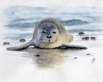 Aquarell  DIN A4 Bild Aquarelldruck Seehund Robbe Meer Strand Seal Watercolor  Beach