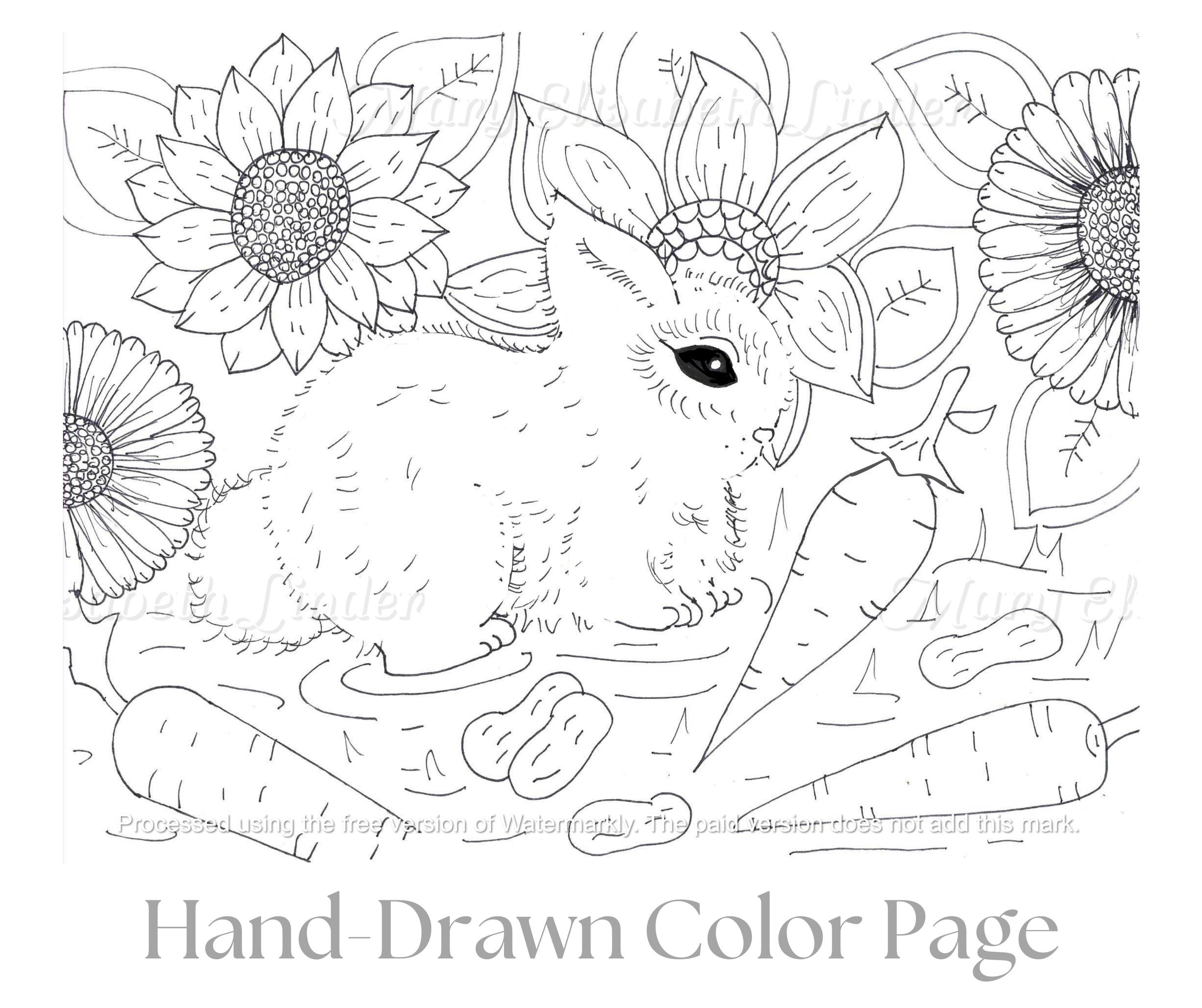 Fall Bunny Printable Color Page Original Artwork Not Ai - Etsy