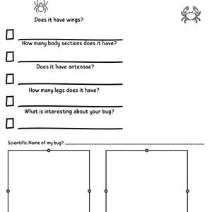 Arthropod Classification Worksheet, Science Worksheet, Identify Bugs ...