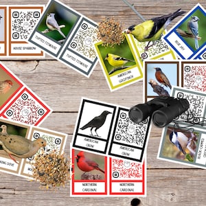 Bird Song Identifier Flashcards, Real bird pictures, North American birds, homeschool, printable, Charlotte Mason, Montessori, QR Codes