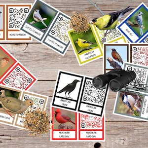 Tarjetas didácticas para identificar cantos de aves, imágenes de aves reales, aves de América del Norte, educación en el hogar, imprimibles, Charlotte Mason, Montessori, códigos QR