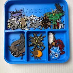Op de afbeelding: Een blauwe plastic bak gevuld met verschillende insectvormige uitsparingen. De bak is verdeeld in compartimenten, met het woord "Insects" in reliëf op de bovenkant. De uitsparingen omvatten een bij, vlinder, spin en andere insecten.