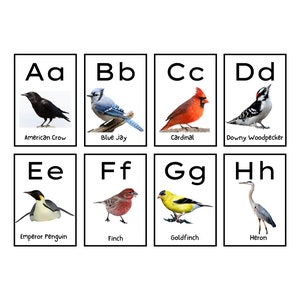 Real Birds Alphabet Flashcards, Preschool Alphabet Cards, Montessori, Charlotte Mason Nature Cards, Digital Download, PDF File