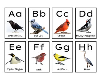 Real Birds Alphabet Flashcards, Preschool Alphabet Cards, Montessori, Charlotte Mason Nature Cards, Digital Download, PDF File