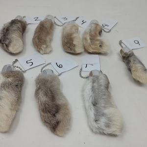 Genuine Rabbit Foot Keychain. Choice of One. Rabbit’s Foot Keychain. These are so awesome for cats! NEW BATCH! Take a look...