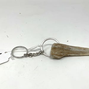 Antler Tip Keychain and bonus free old key