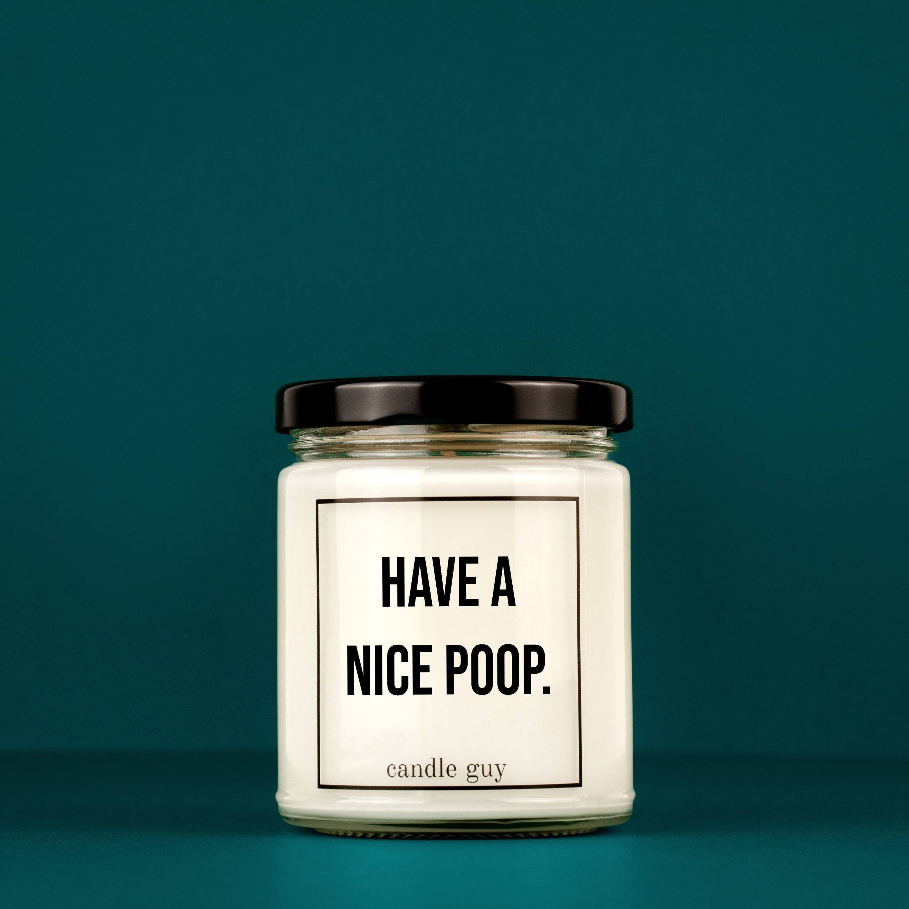 Scented Candle Have a Nice Poop. Gift for Him Gift for Etsy