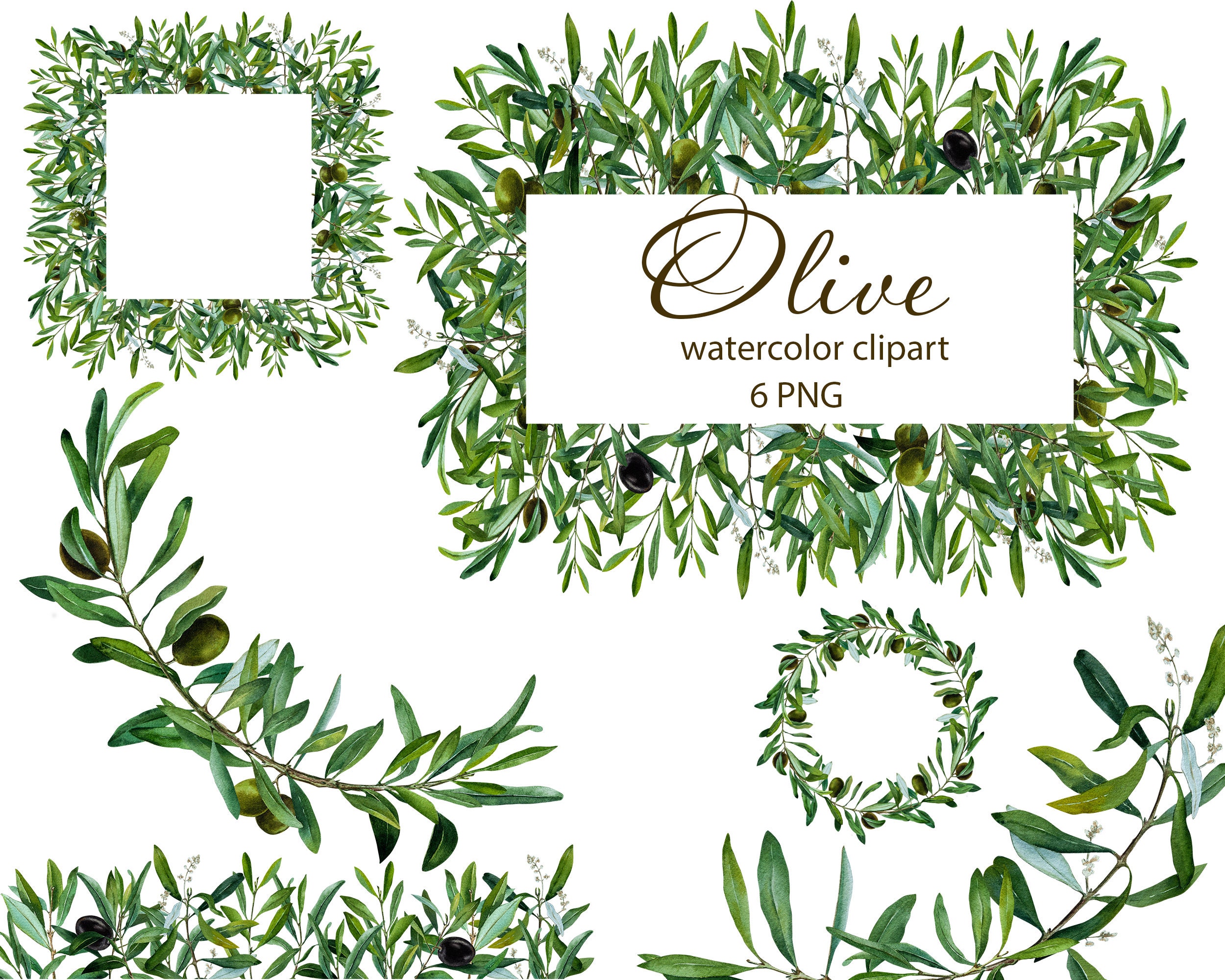Watercolor Olive Branch Wreath Clipart Frame Wreath Border - Etsy