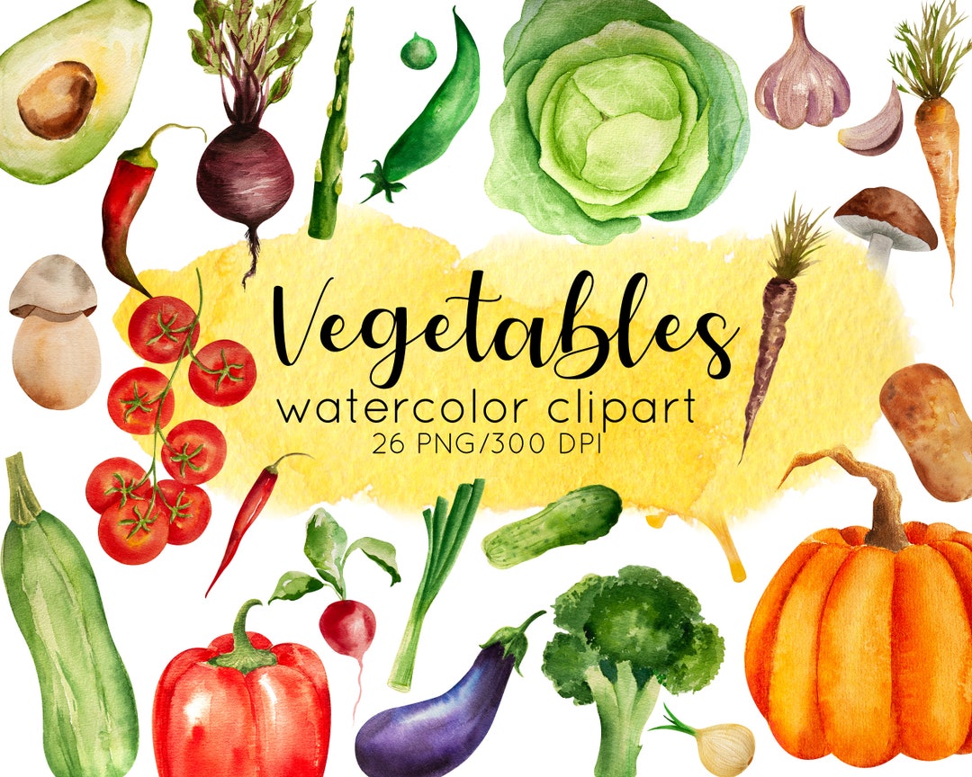 Watercolor Vegetable Clipart Farm Clipart Fall Clipart - Etsy