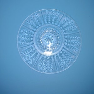 Five 6 1/2&quot; Clear Glass Plates