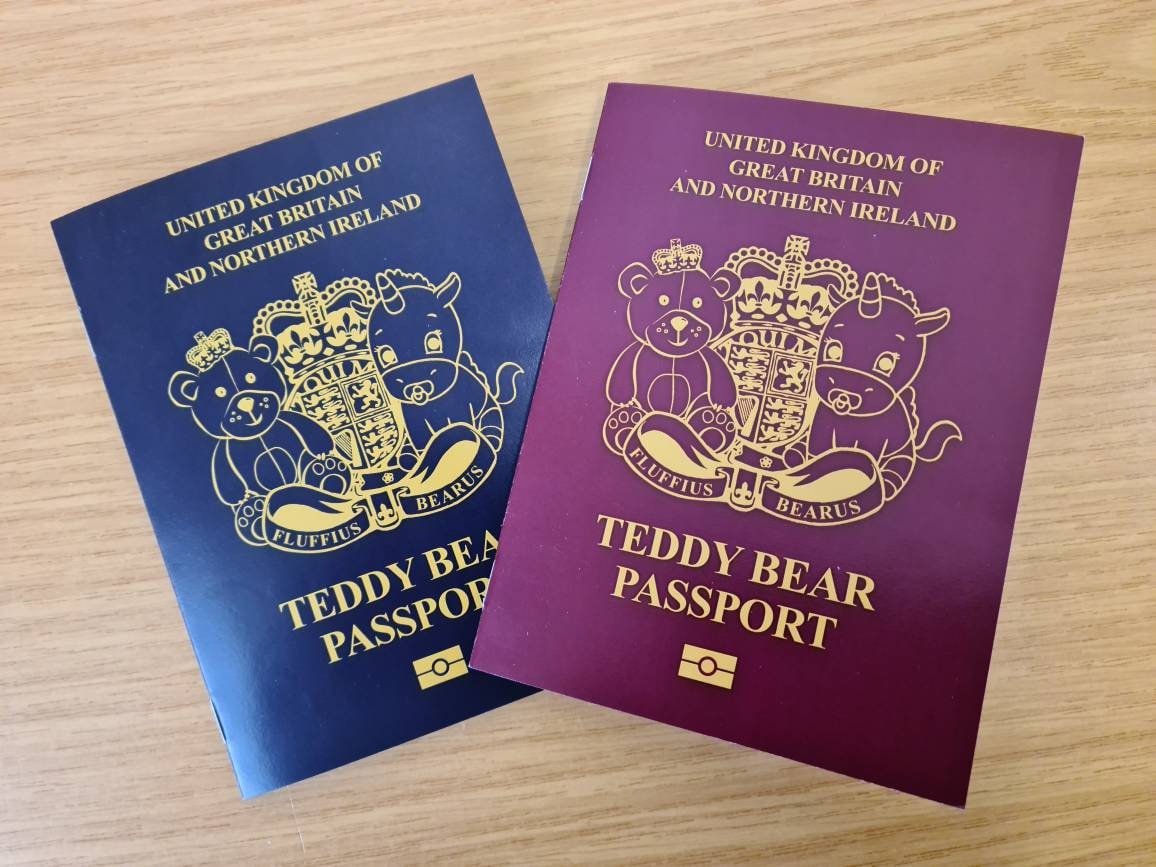 Dior Teddy Bear Passport Holder Black – ＬＯＶＥＬＯＴＳＬＵＸＵＲＹ