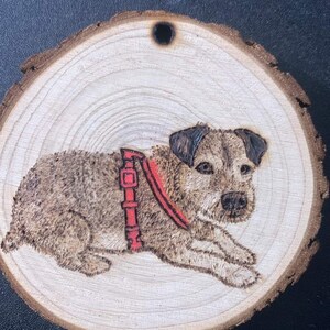 Custom Pet Portraits Ornaments