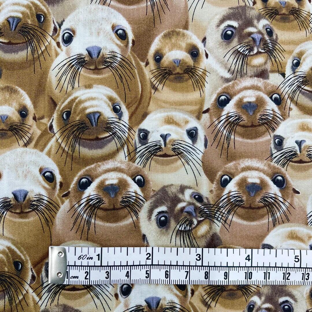 Sealions Fabric, Seals, Sea Animal, Marine Life, Quality Quilting
