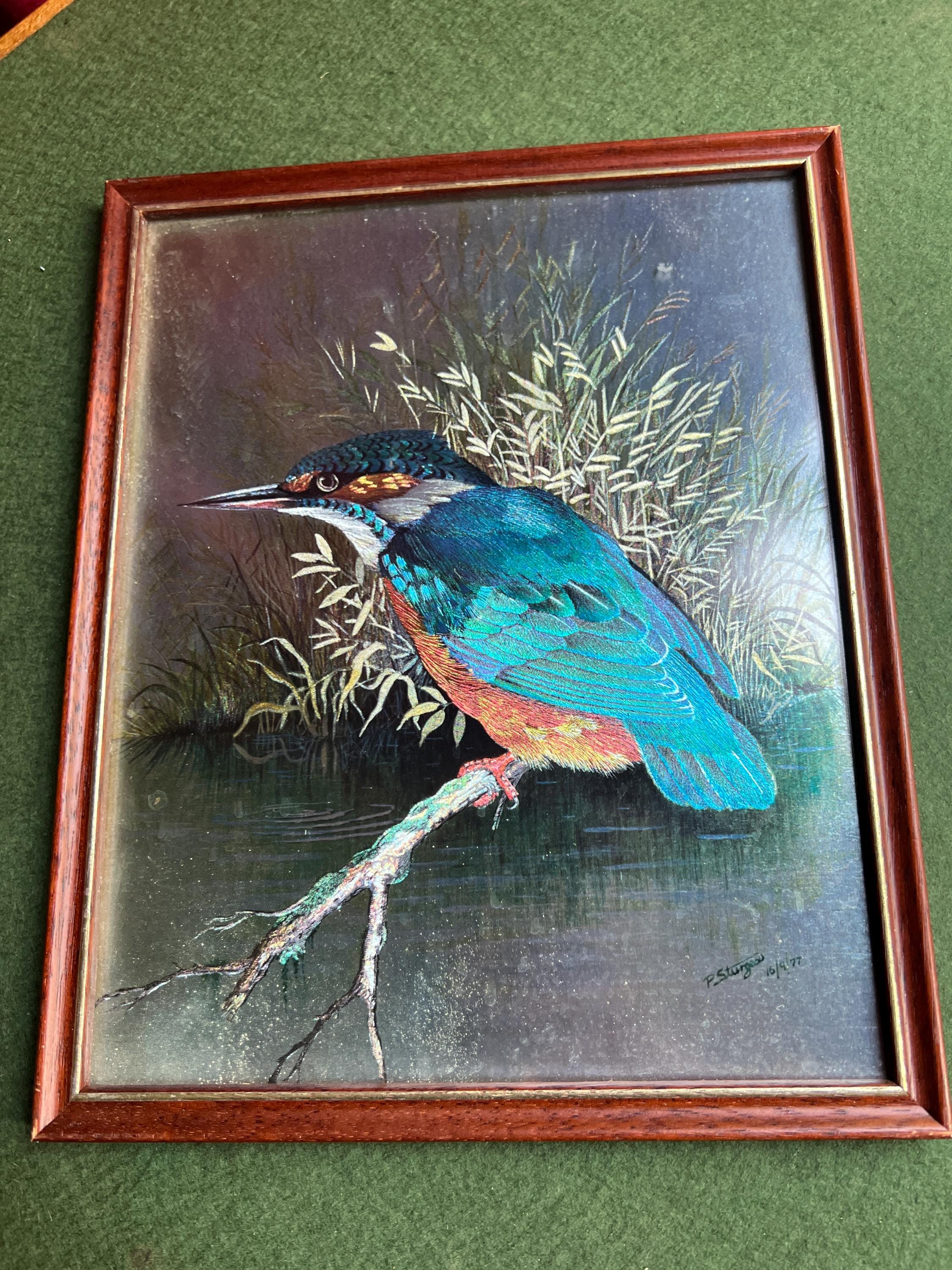 Vintage Foil Art Kingfisher Framed Kingfisher Picture. Signed P