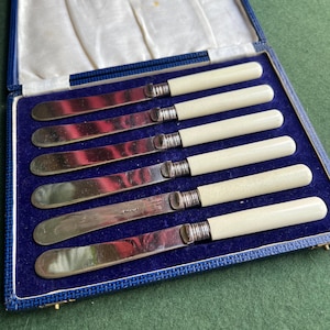 Vintage boxed EPNS Butter knives. Set 6 cream faux bone handled silver plated dessert knives. Original box 7 inch long knives.