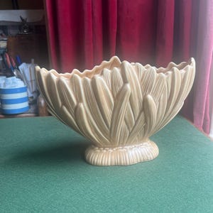 May include: A light beige ceramic planter or bowl featuring a textured exterior with a repeating vertical leaf or petal pattern. The vessel has a scalloped, wavy rim and sits on a rounded, ribbed base, showcasing a glossy finish throughout.