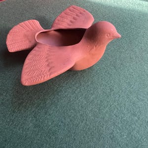 May include: A terracotta-colored bird-shaped planter with outstretched wings. The wings have detailed feather patterns. The bird has a small, pointed beak and a hollowed-out body for planting. The planter is on a green surface.