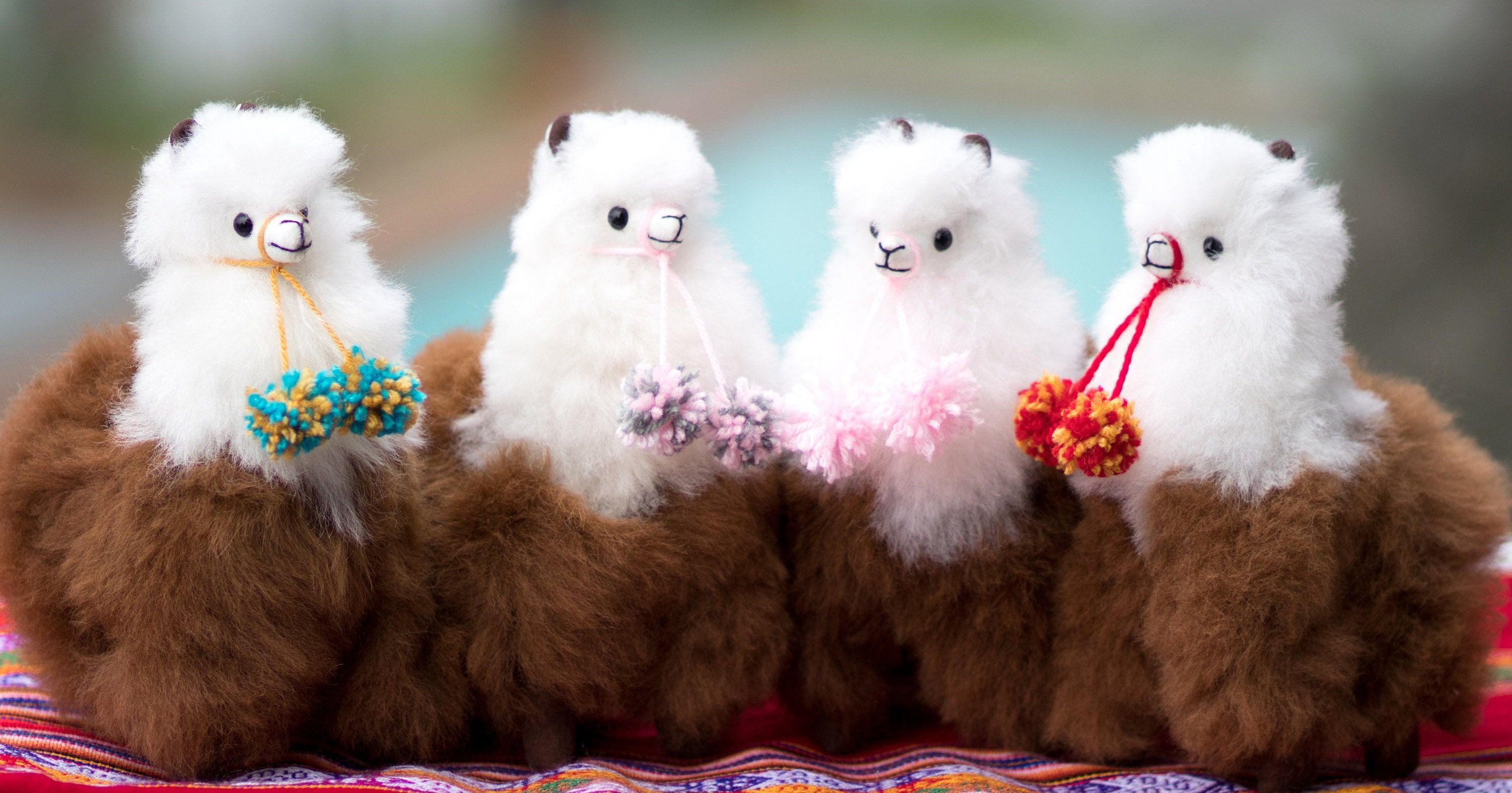 Alpaca Wool Plushie  Llama Gift Home Decor – Munai