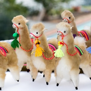 FOMIYES 5pcs Cute Alpaca Figurines Plastic Sculptures Hand Painted Animal Collections Statue Cake Topper for Home Fairy Garden Decor Kid Gift Cute Alpaca Figurine Toy Model Realistic Plastic Animal Action Figure  Educational Birthday Creative Gifts For kids Home Decor - AliExpress