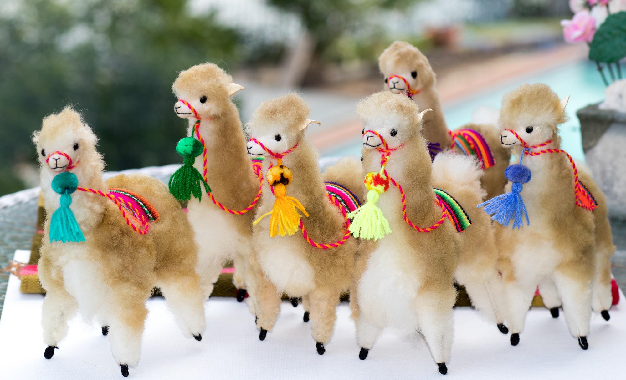 Alpaga Echarpe Vigogne écharpe Pull En Laine De Vigogne Laine De