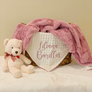 Personalized Baby Blanket for girl, Baby Blanket, Girls Newborn gift Baby Shower gift, Wood rose Minky Hide and You Choose Minky Dot Color