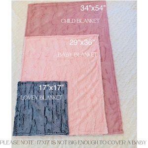 May include: Three plush blankets in different sizes: a 34" x 54" child blanket in pink, a 29" x 36" baby blanket in pink, and a 17" x 17" lovey blanket in gray. The text "PLEASE NOTE: 17X17 IS NOT BIG ENOUGH TO COVER A BABY" is at the bottom of the image.