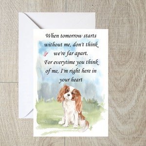 Cavalier King Charles Dog A6 (4"x 6") Tarjeta de simpatía (en blanco en el interior) por Starprint Gifts and Designs. En blanco para escribir tu propio mensaje en su interior.