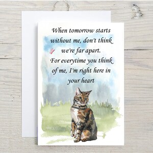 Schöne Tabby Katze A6 (10x6") Sympathiekarte (Blanko Innen) von Starprint Geschenke und Designs. Leer, um Ihre eigene Nachricht hinein zu schreiben.