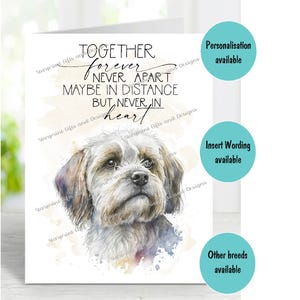 Havaneser Hund A6 (4 "x 6") Trauerkarte (innen leer) von Starprint Geschenke und Designs . Blank, um Ihre eigene Nachricht hineinzuschreiben