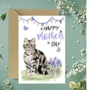 Amerikanische Silber Kurzhaar Katzen Muttertagskarte (Blank Inside) von Starprint Geschenke und Designs. Leer, um Ihre eigene Nachricht hinein zu schreiben.