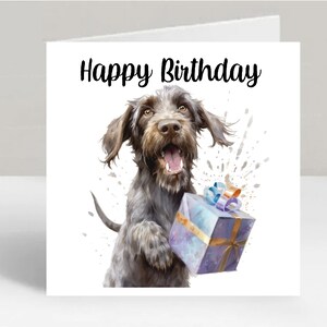 Carte d'anniversaire allemande de chien d'arrêt à poil dur de 6 x 6 po. - Cadeaux et designs avec empreintes d'étoiles. De la place pour votre propre message à l'intérieur. Peut être personnalisé.