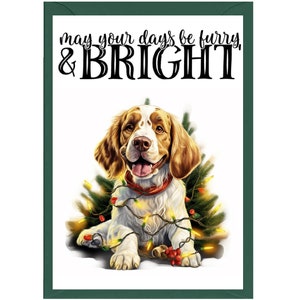 Clumber-spaniël hond A6 (4"x 6") kerstkaart (blanco binnenkant). Veel ruimte voor je eigen bericht binnenin.