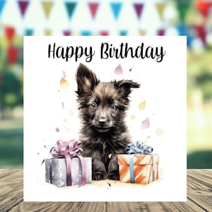 Carte d'anniversaire de chien de berger belge 6 x 6 po, cadeaux et designs avec empreintes d'étoiles. De la place pour votre propre message à l'intérieur. Peut être personnalisé.