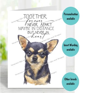 Chihuahua Kurzhaar Hund B&T A6 (4 "x 6") Trauerkarte (leere Innenseite) von Starprint Geschenke und Designs. Blank, um Ihre eigene Nachricht hineinzuschreiben