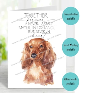 Dackel Langhaar Hund A6 (4 "x 6") Beileidkarte (innen leer) von Starprint Geschenke und Designs. Blank, um Ihre eigene Nachricht hineinzuschreiben