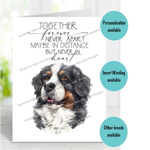 Berner Sennenhund Beileid Karte (innen leer) von Starprint Geschenke und Designs. Blank, um Ihre eigene Nachricht hineinzuschreiben