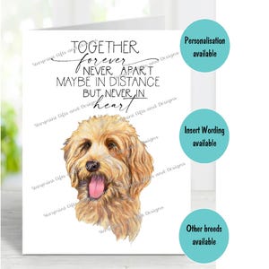 Labradoodle Hund A6 (4 "x 6 ") Beileid Karte (innen leer) von Starprint Geschenke und Designs. Blank, um Ihre eigene Nachricht hineinzuschreiben