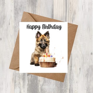 Tarjeta de cumpleaños belga Tervuren Dog de 6.0 x 6.0 in, regalos y diseños de Starprint. Espacio para su propio mensaje en el interior. Se puede personalizar.
